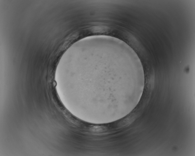 X0000115560277200912181624