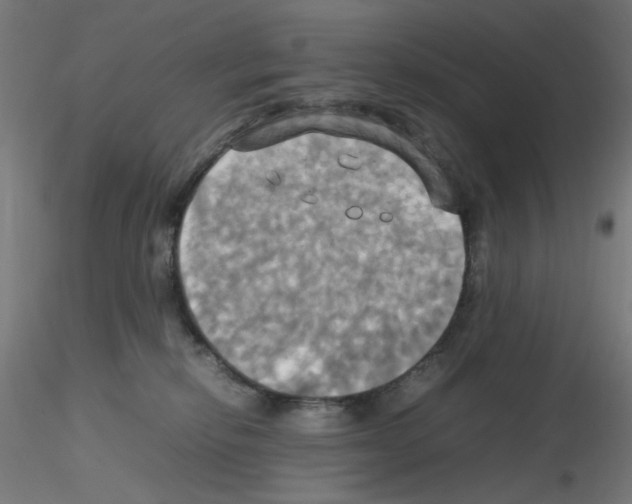 X0000115560278200912181624