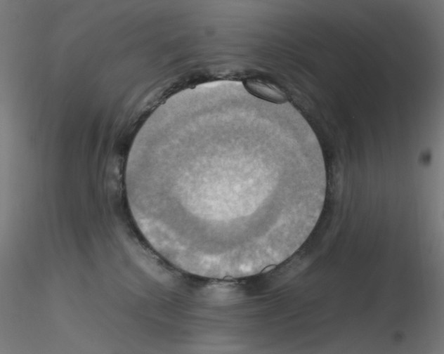 X0000115560280200912181624