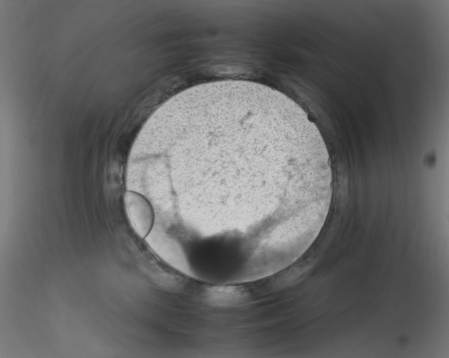 X0000115560281200912181624