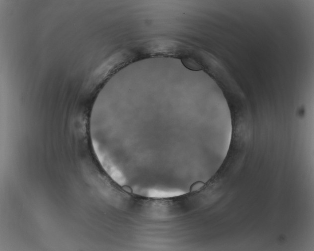 X0000115560282200912181624