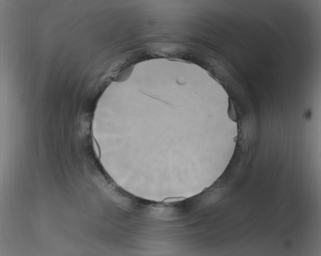 X0000115560284200912181624