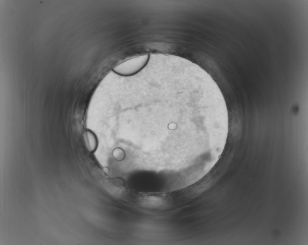 X0000115560285200912181624