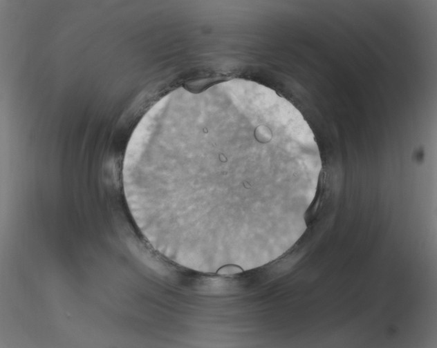 X0000115560286200912181625