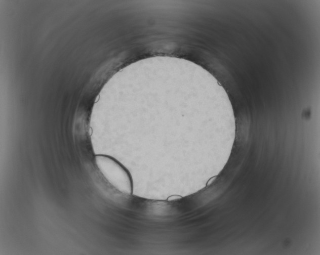 X0000115560287200912181625