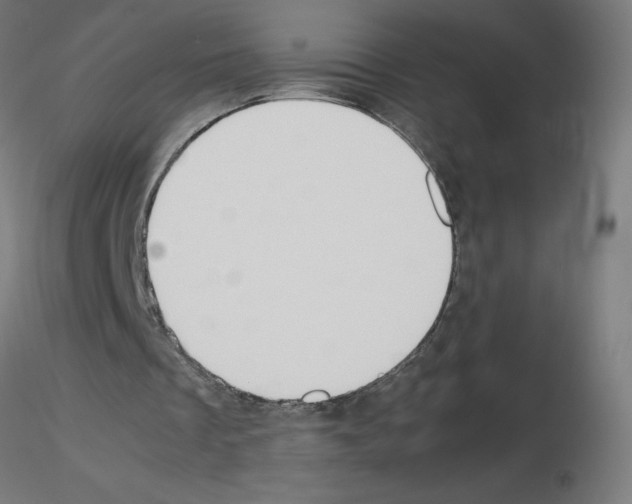 X0000115560289200912181624