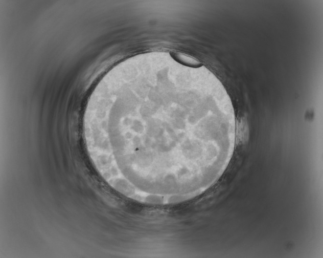 X0000115560291200912181624