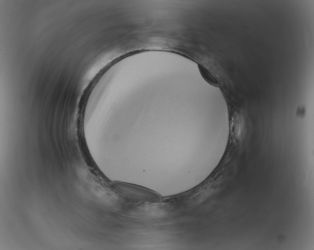 X0000115560292200912181624