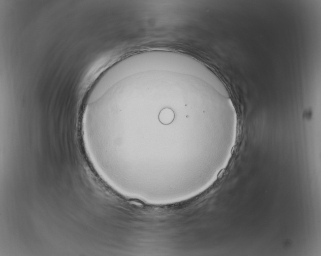 X0000115560293200912181624