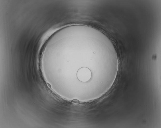 X0000115560294200912181624