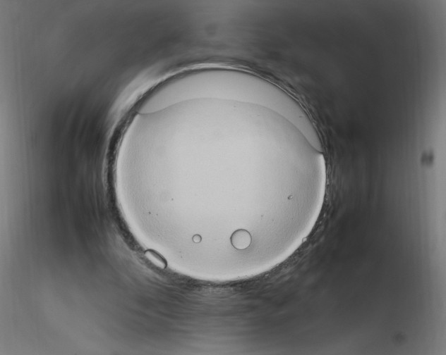 X0000115560296200912181624