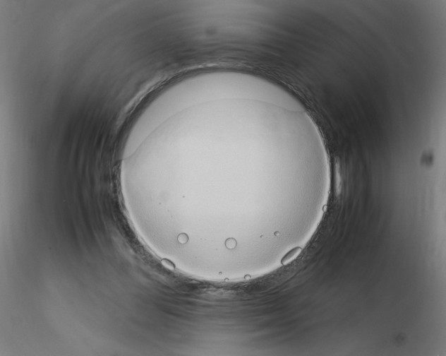 X0000115560300200912181623