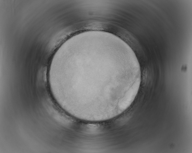 X0000115560302200912181623