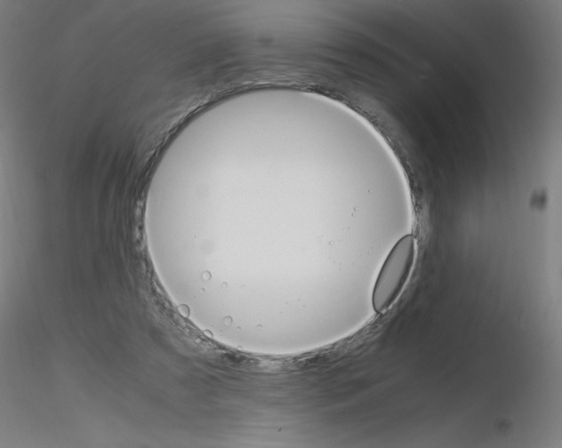 X0000115560305200912181623