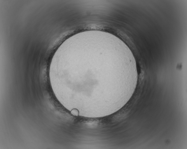 X0000115560306200912181623