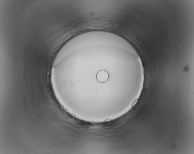 X0000115560309200912181623