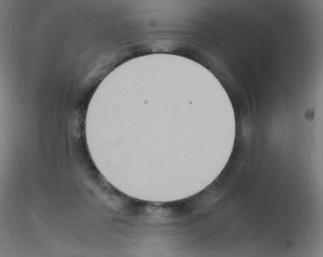 X0000115560311200912181623