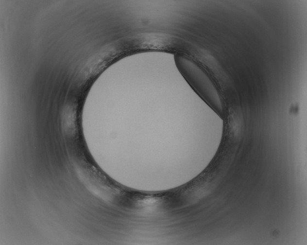 X0000115560312200912181623