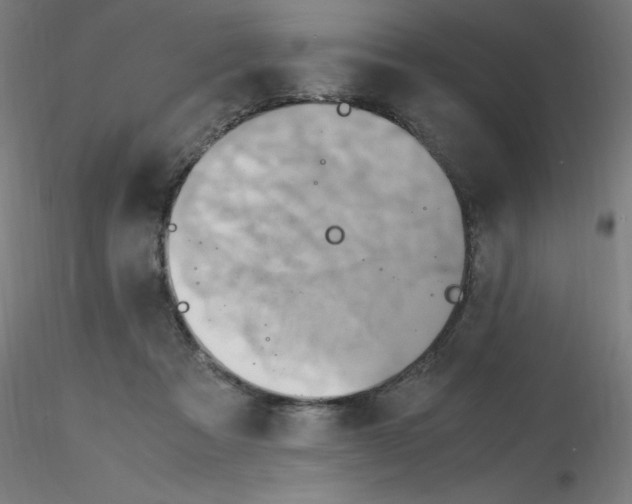 X0000115560313200912181623