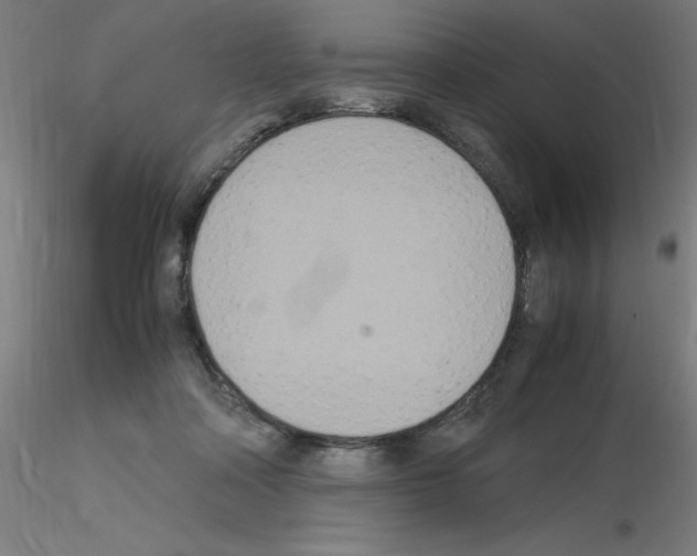 X0000115560314200912181623