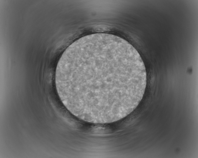 X0000115560315200912181623