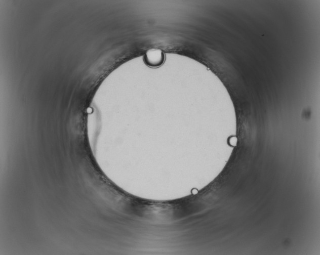 X0000115560317200912181623