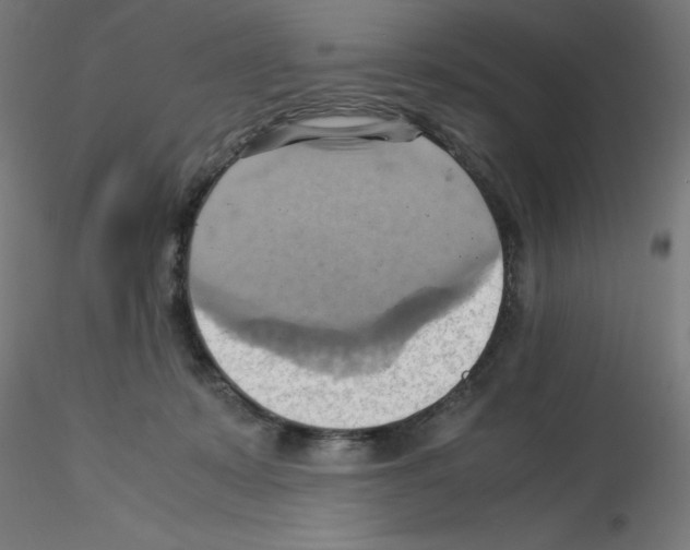 X0000115560319200912181623