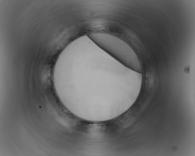 X0000115560320200912181623