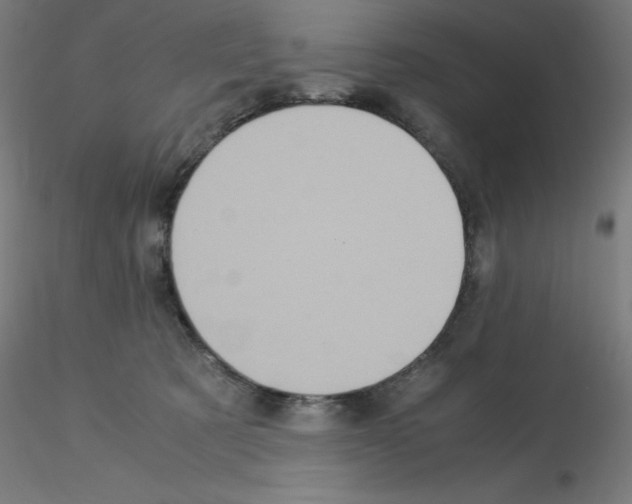 X0000115560321200912181623