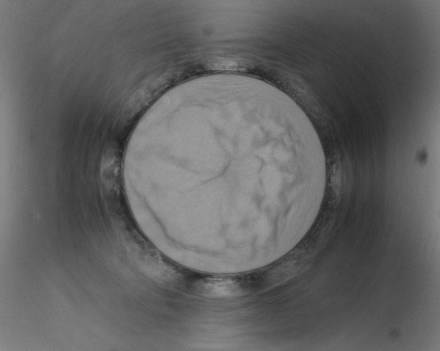 X0000115560322200912181623