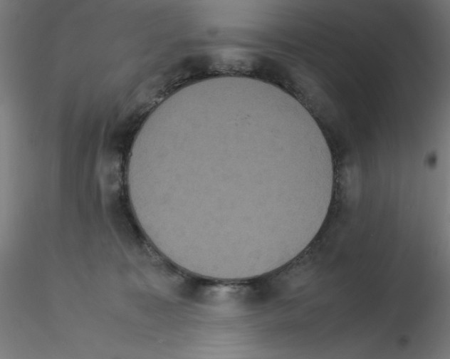 X0000115560323200912181623