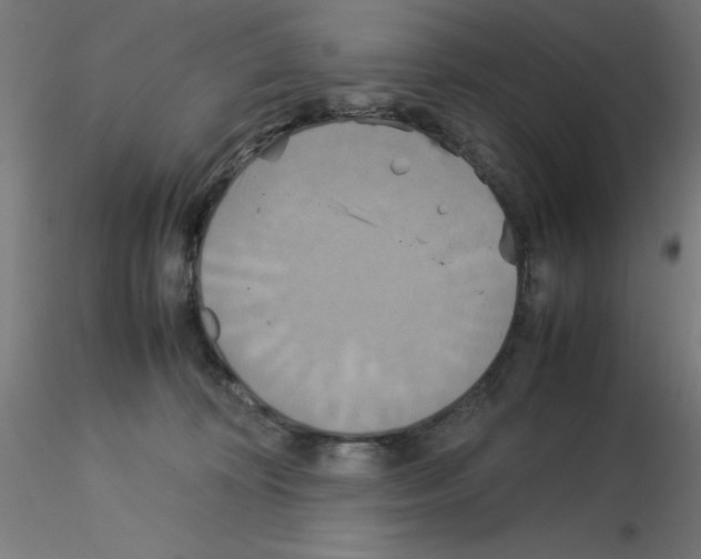 X0000115560324200912181623