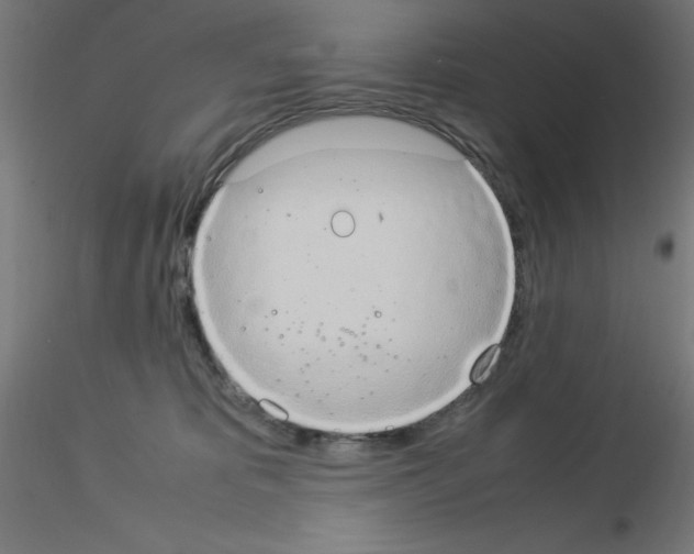 X0000115560325200912181623