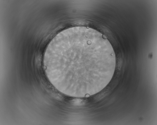 X0000115560326200912181623