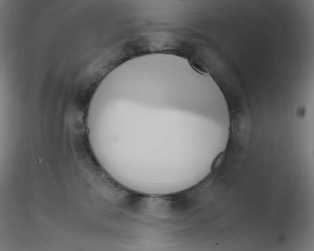 X0000115560327200912181623