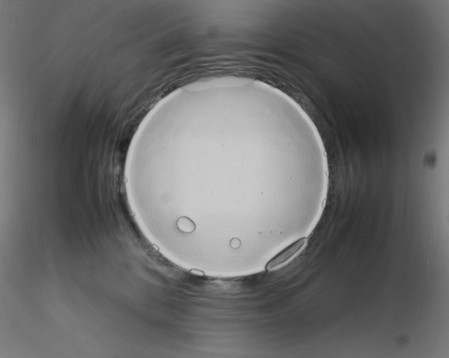 X0000115560328200912181623