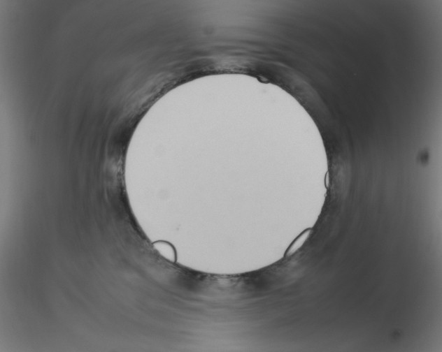 X0000115560329200912181623