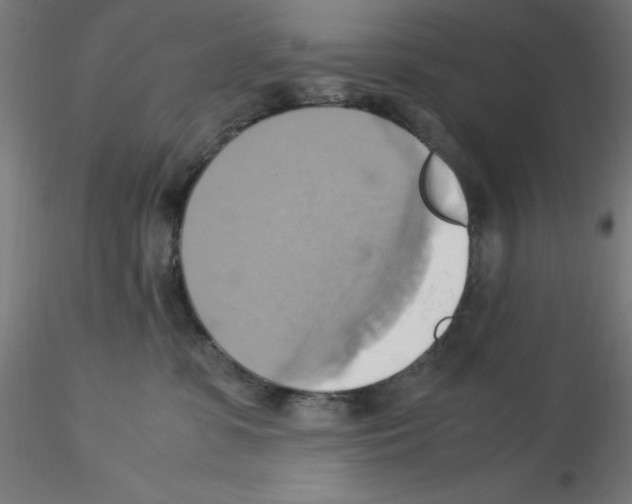 X0000115560331200912181623