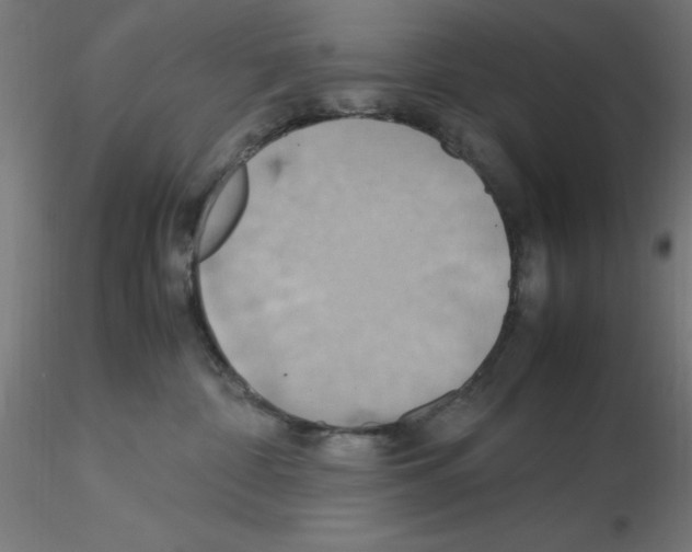 X0000115560332200912181623