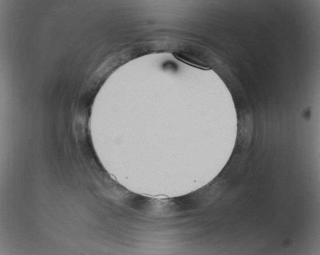 X0000115560333200912181623