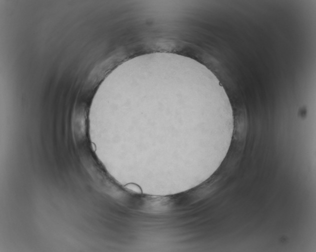 X0000115560334200912181623