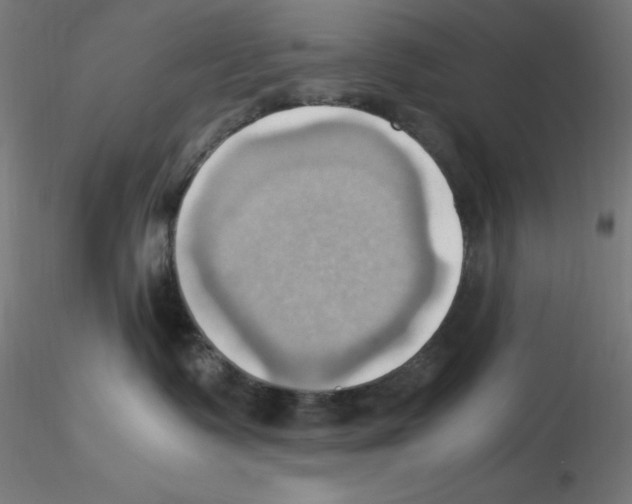 X0000115560335200912181623