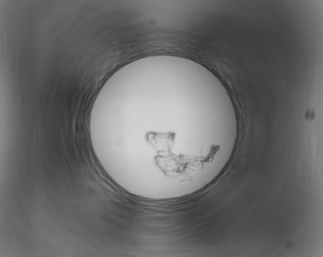 X0000115560336200912181623