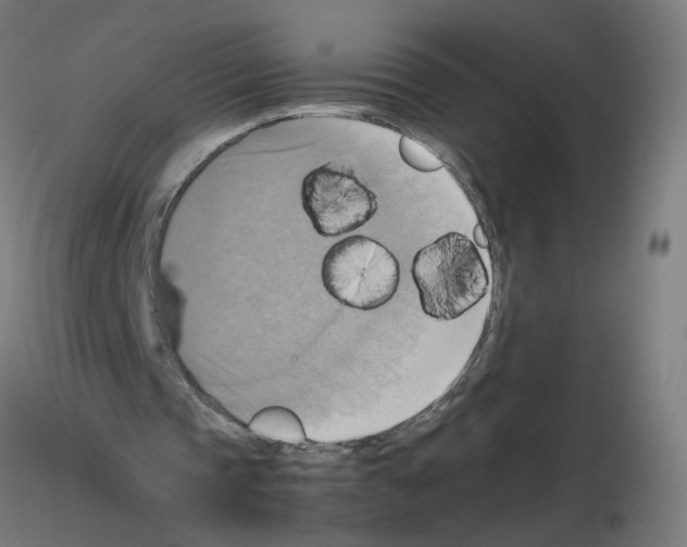 X0000115560337200912181622