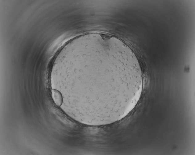 X0000115560339200912181622