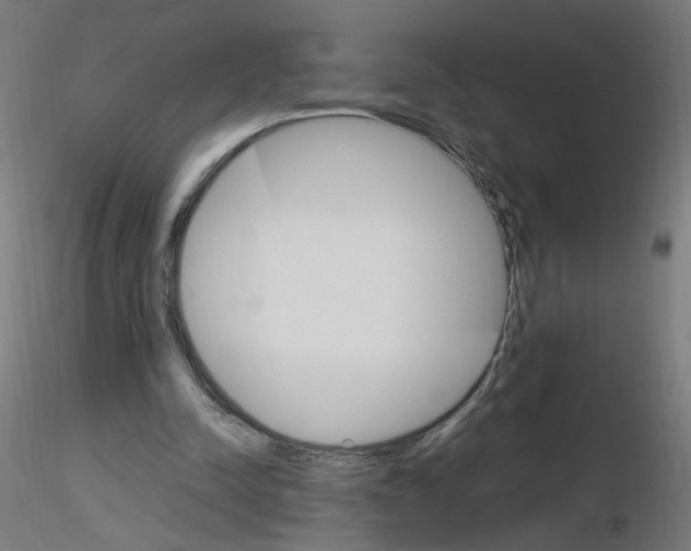 X0000115560342200912181622