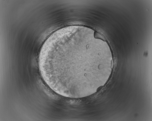 X0000115560345200912181622