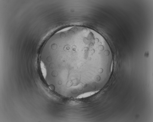 X0000115560346200912181622