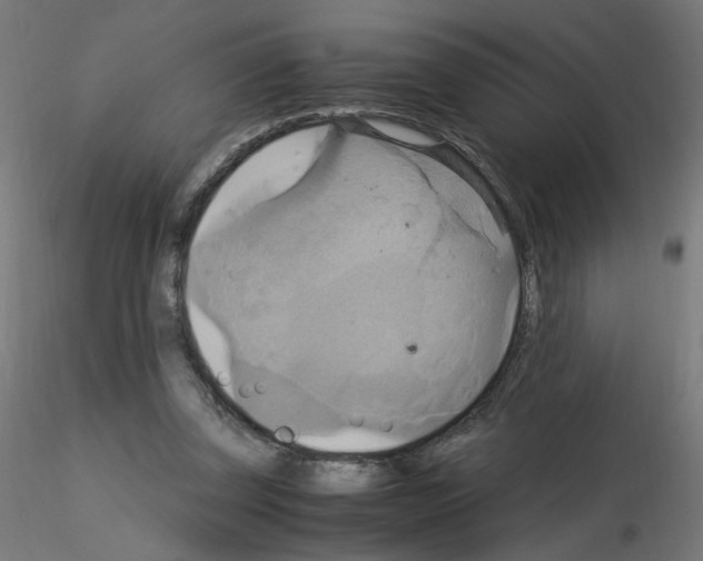 X0000115560347200912181622