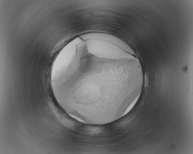 X0000115560349200912181622